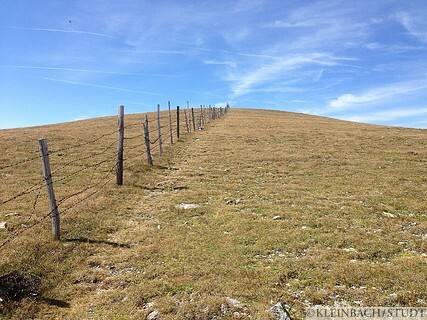 For a long time the trails is leading along a fence.<br />[46.919361 14.007630]